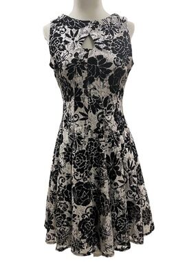 Roz & Ali Lace Fit and Flare Dress